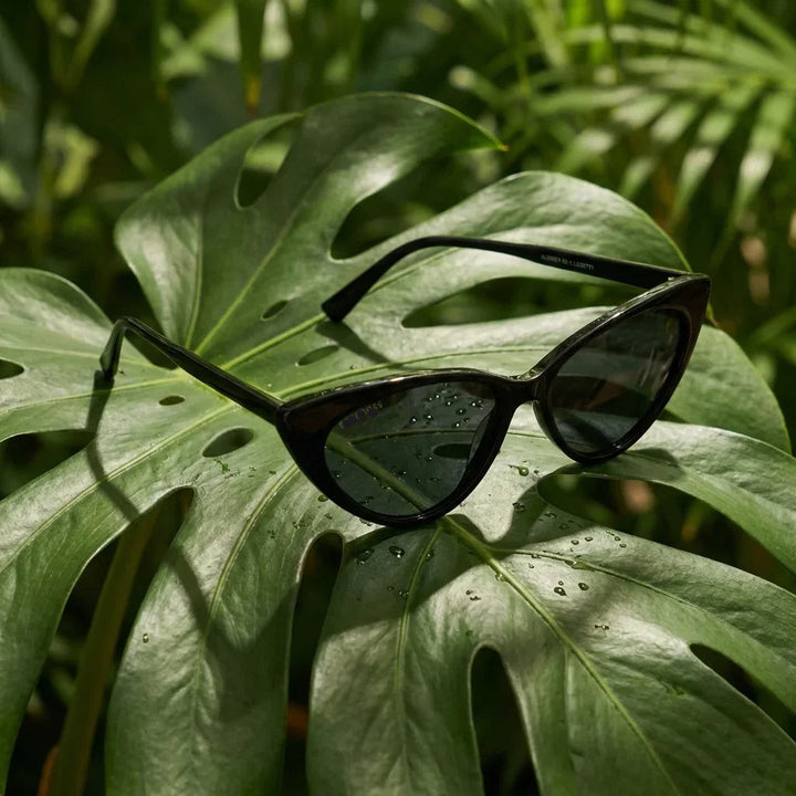Red Cat-Eye Sunglasses 8