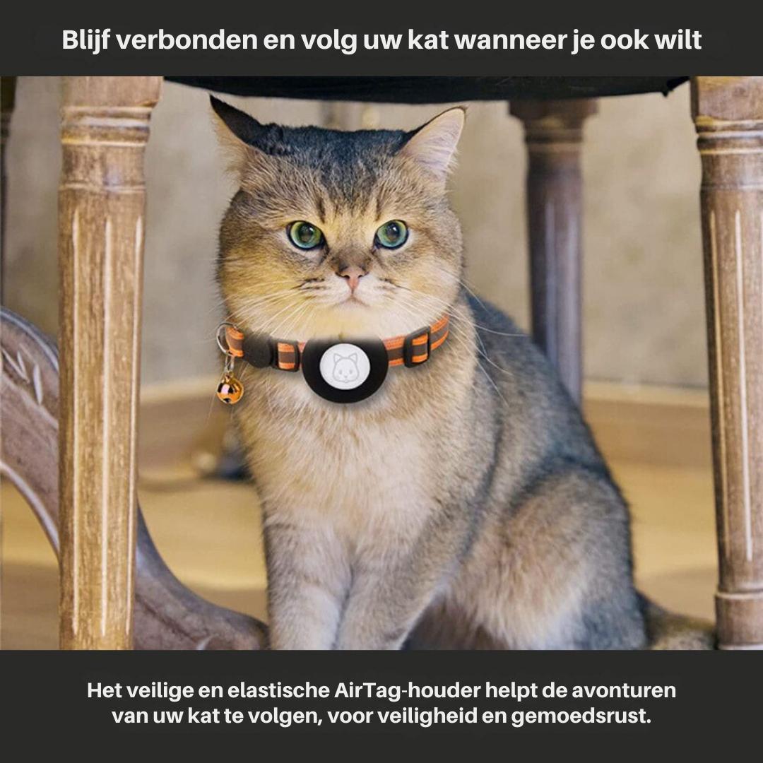 Reflective GPS Cat Collar 2