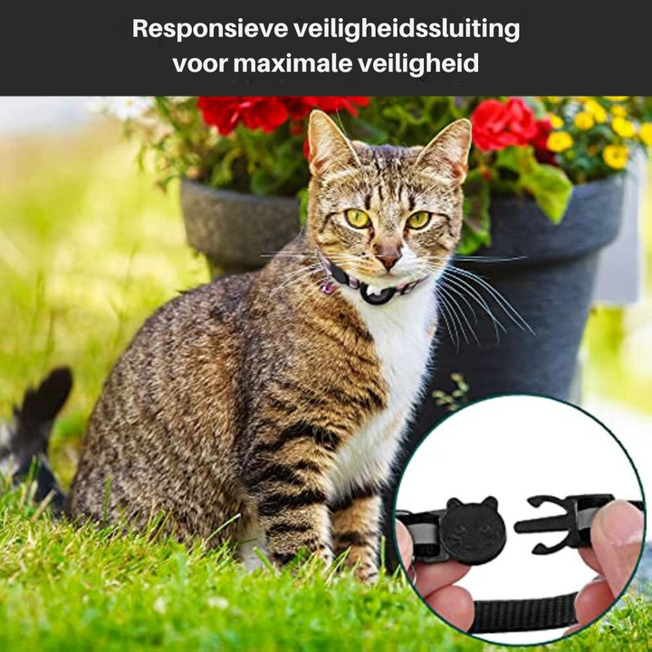 Reflective GPS Cat Collar 4