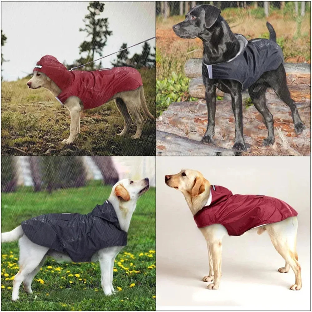Reflective Waterproof Dog Poncho 6