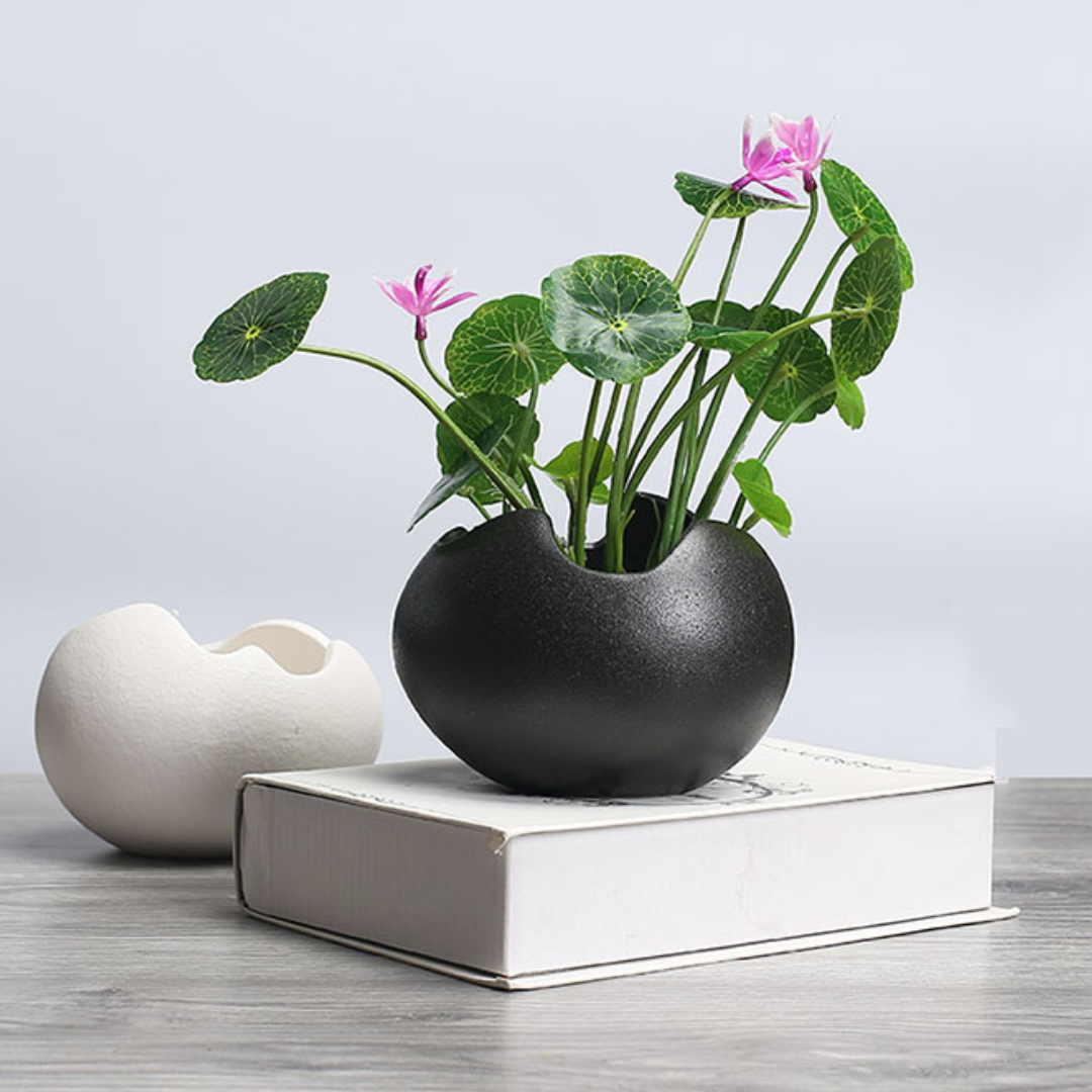 Revive Ceramic Hydro Pot