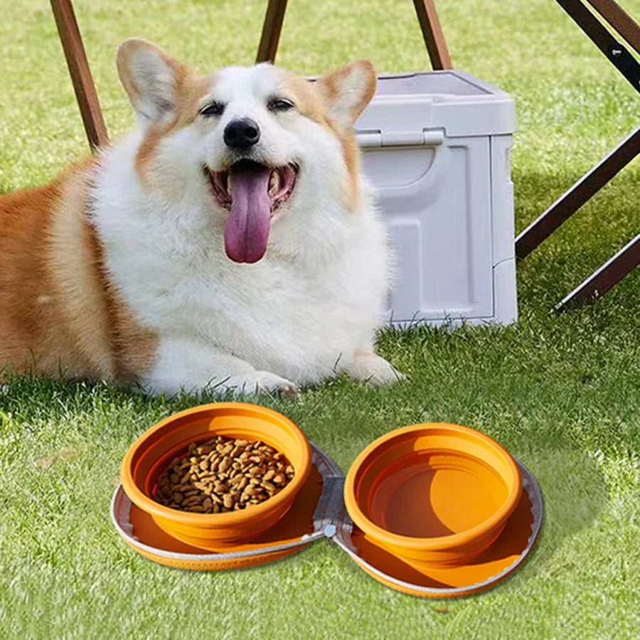 Foldable Travel Pet Bowl in use with dog