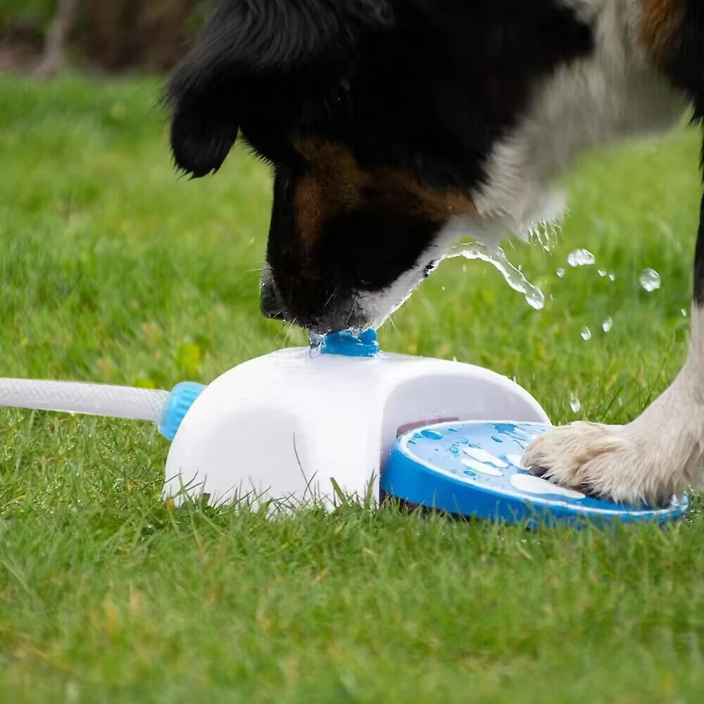Pet Water Fountain sprinkler in use