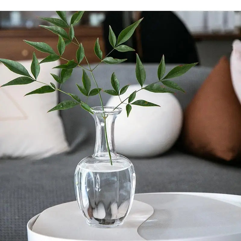 Serene Transparent Glass Vase 3