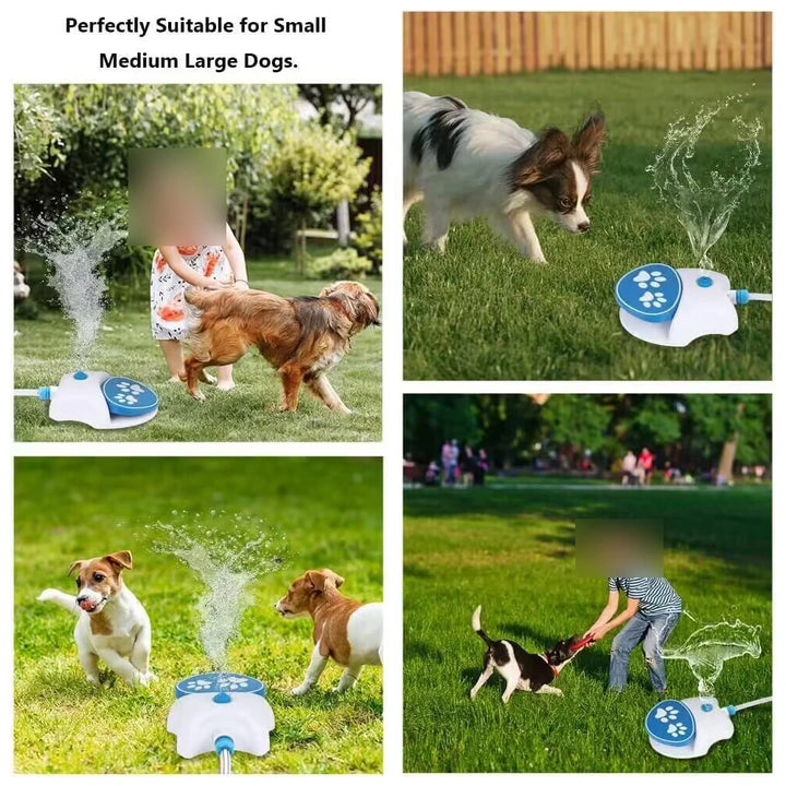 Pet Water Fountain nozzle detail
