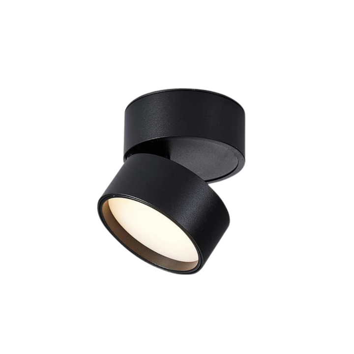 Sleek Aluminium Ceiling Light 0