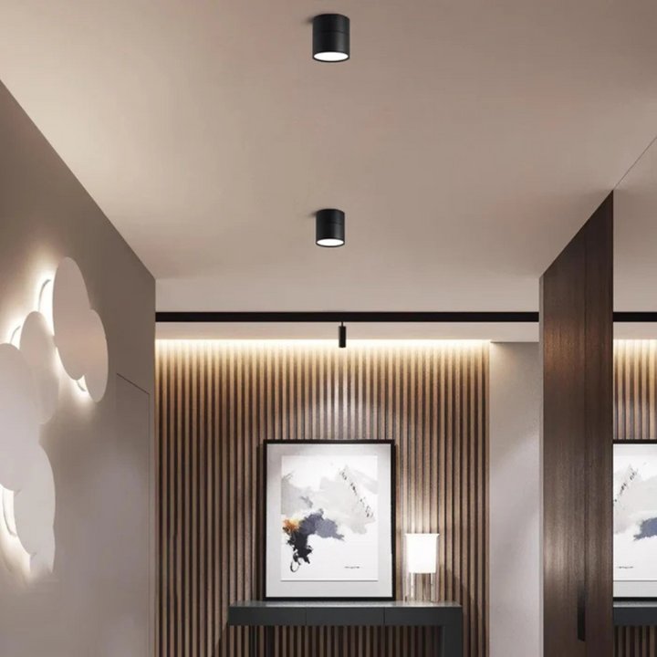 Sleek Aluminium Ceiling Light 1