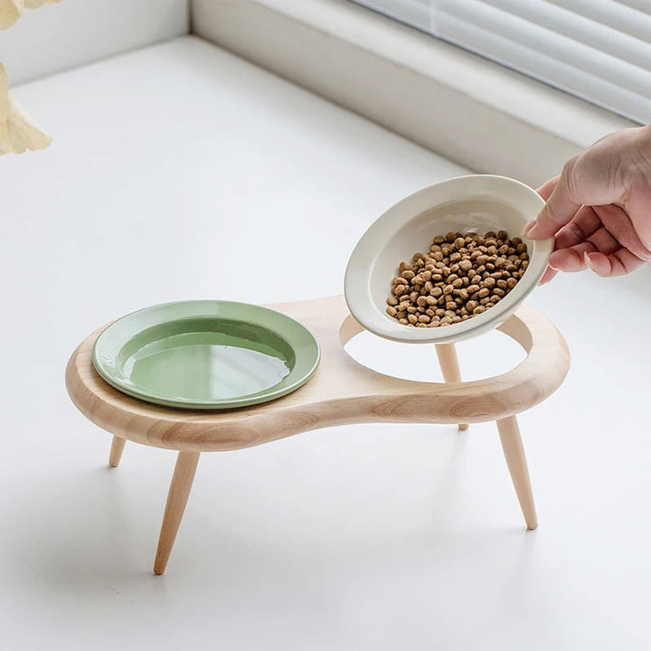 Stylish Elevated Pet Bowl Set 2