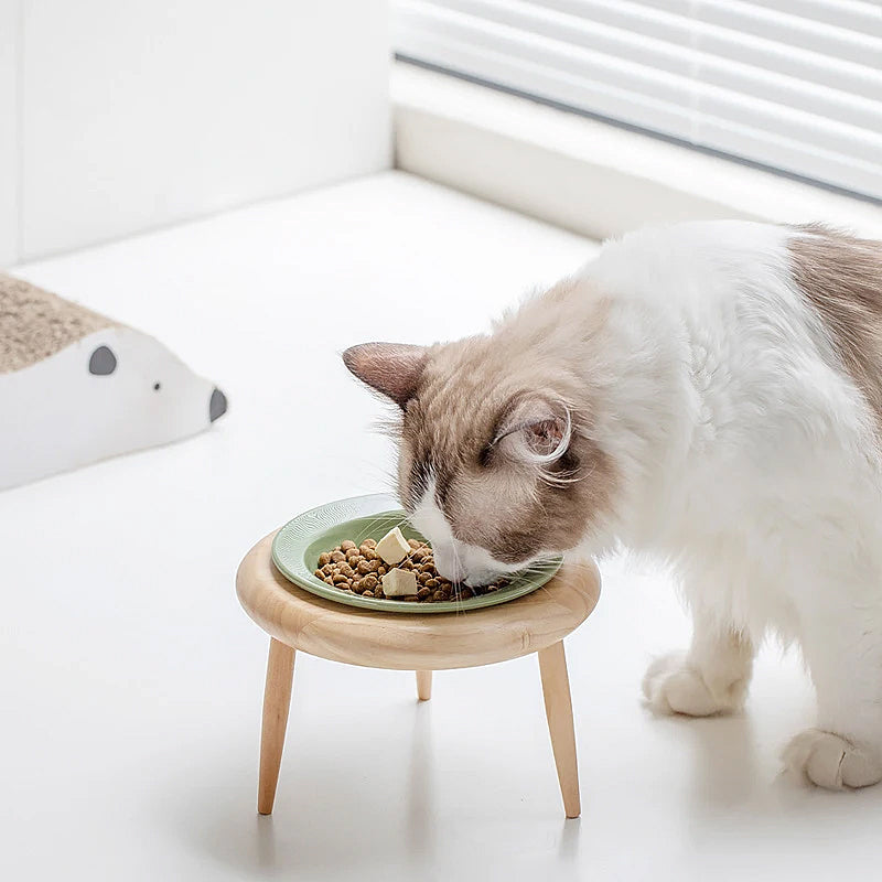 Stylish Elevated Pet Bowl Set 4