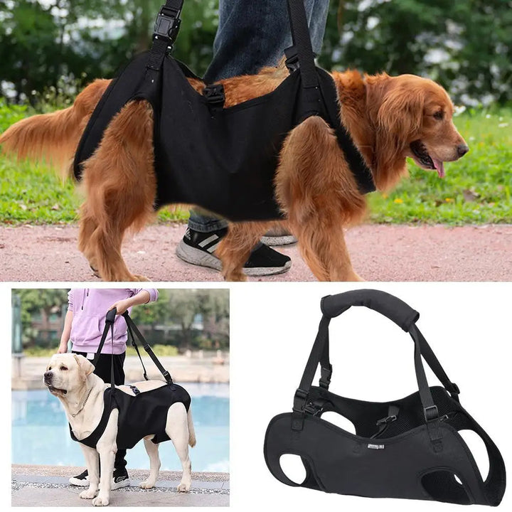 Supportive Oxford Dog Sling 1