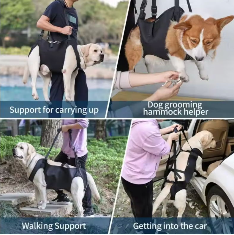 Supportive Oxford Dog Sling 2
