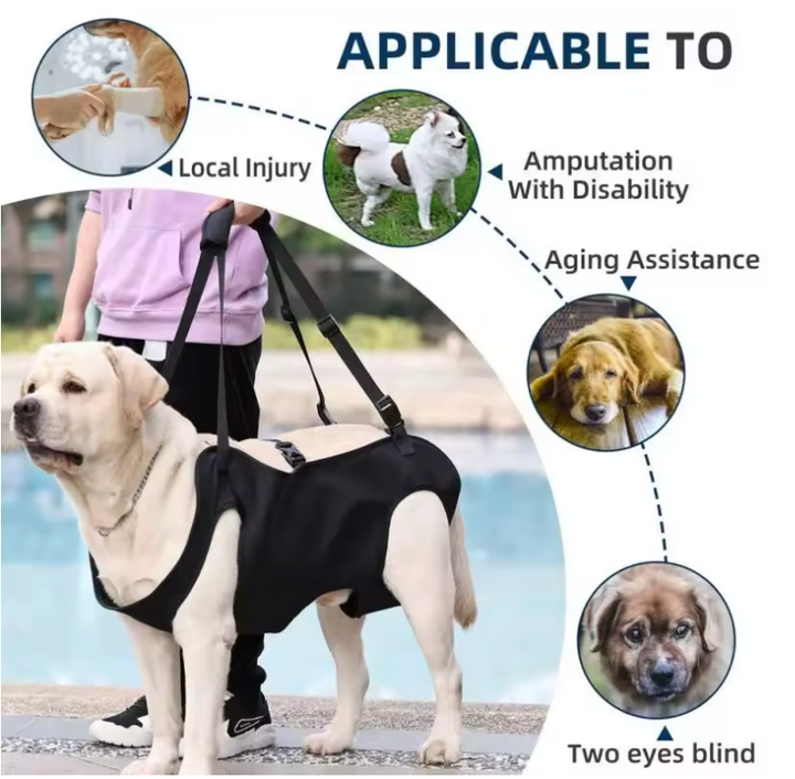 Supportive Oxford Dog Sling 3