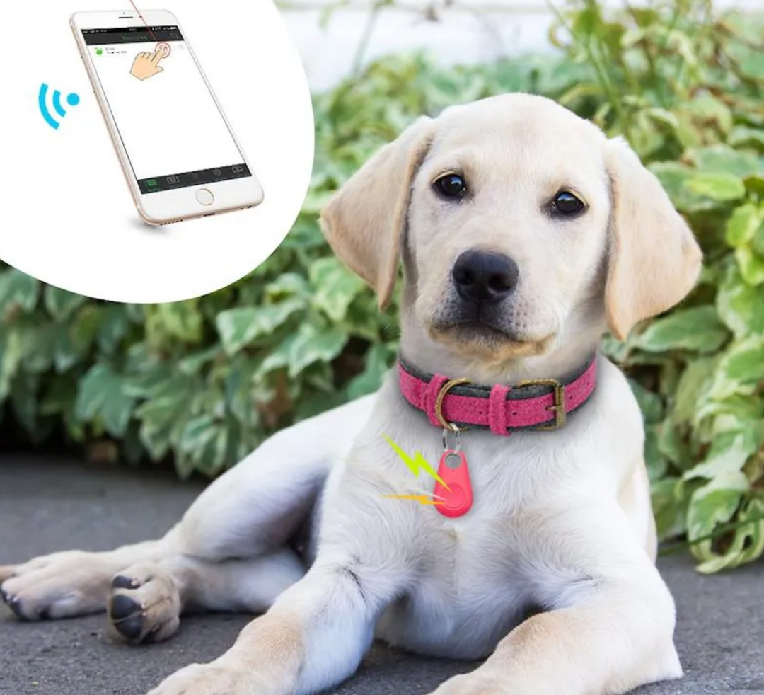 Timeless GPS Pet Tracker 1