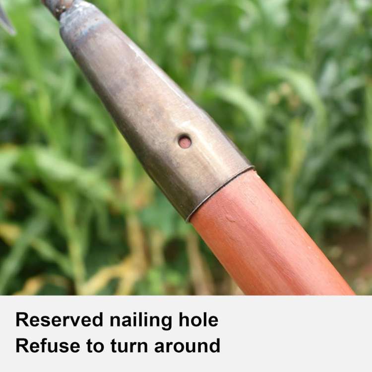 Timeless Stainless Steel Garden Rake 5