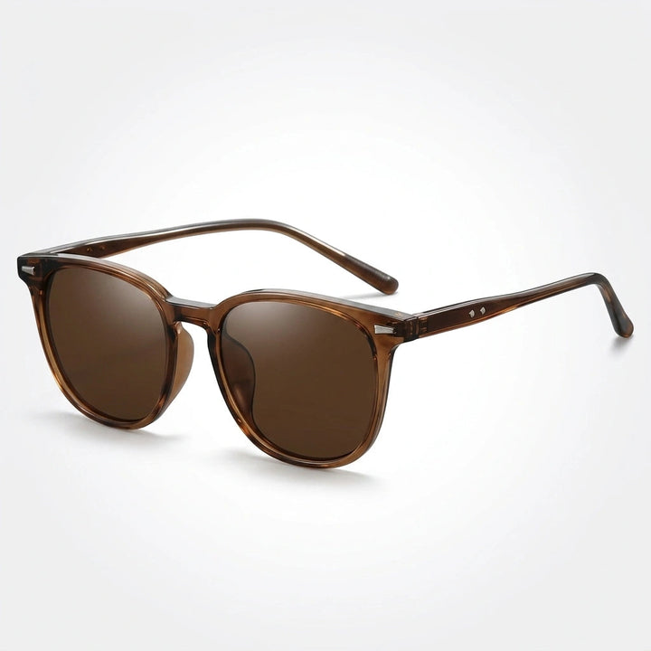 Timeless Tortoiseshell Sunglasses 1