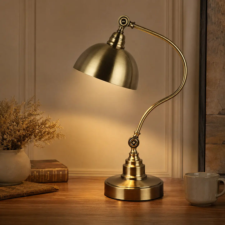 Bronze Gooseneck Task Light desk lamp studio product shot