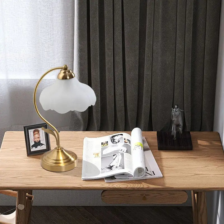 Brass Gooseneck Frosted Glass Table Lamp desk lifestyle