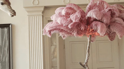 Feather Resin LED Floor Lamp animated demo