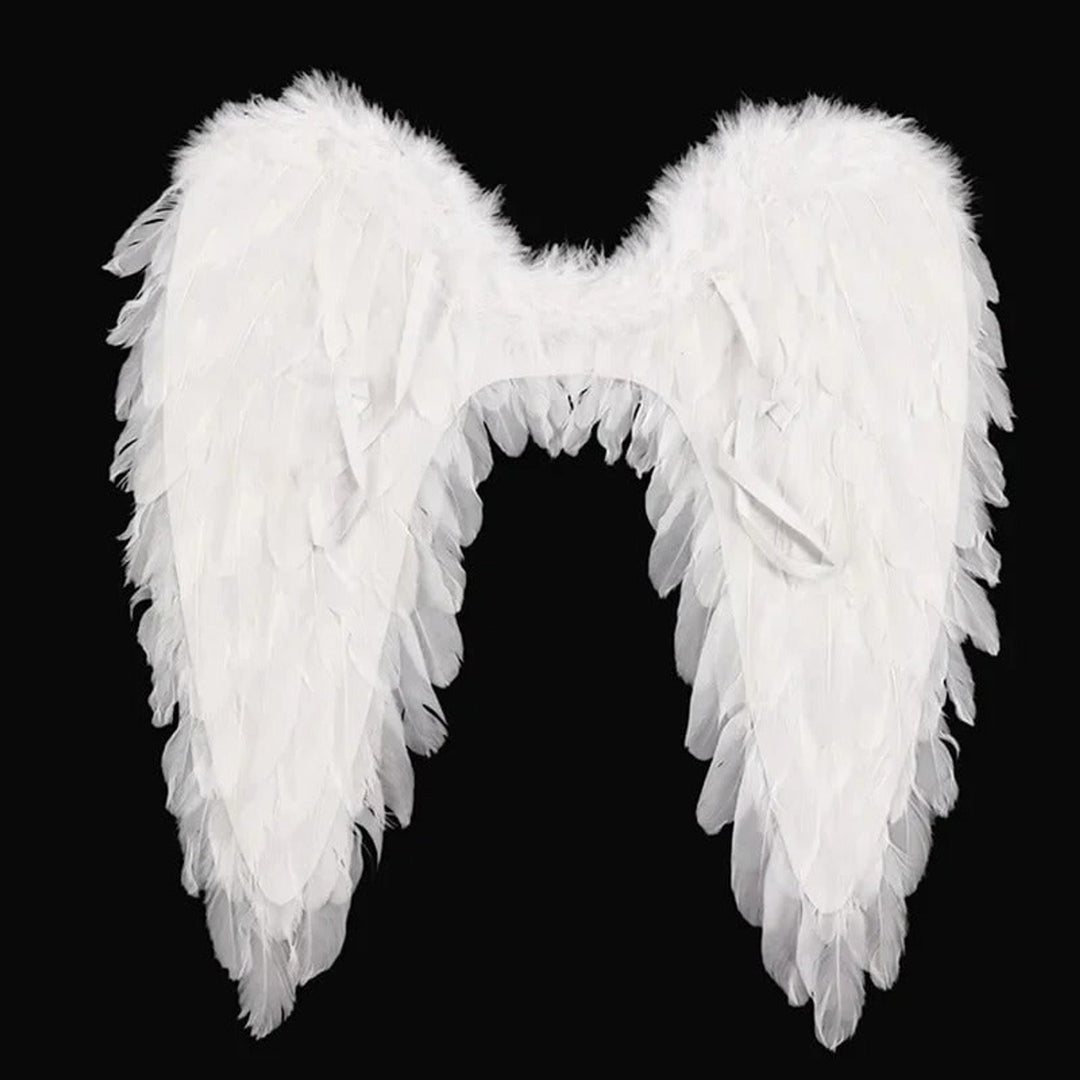Feathered angel costume wings, full front view