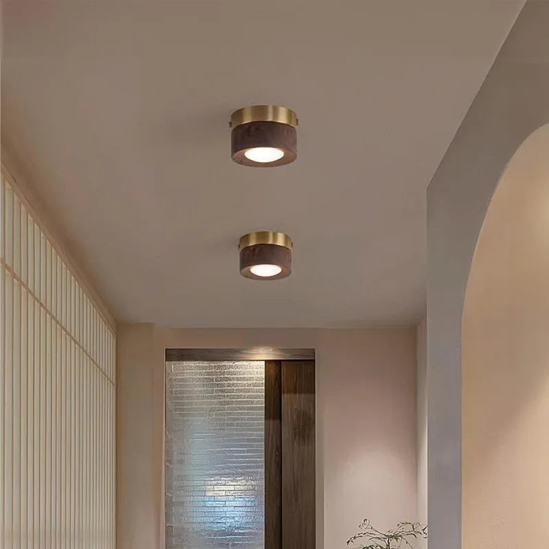 Knob-Adjustable Copper Downlight installed in living room lifestyle