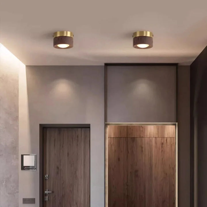 Knob-Adjustable Copper Downlight underside lens detail