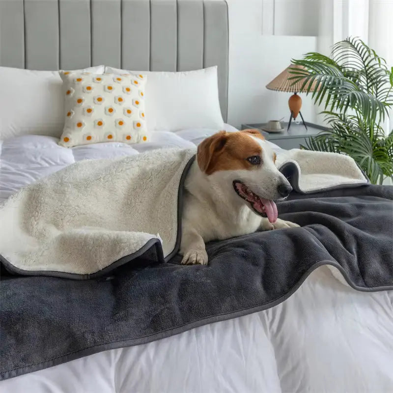Blue Reversible Waterproof Pet Blanket folded flat lay