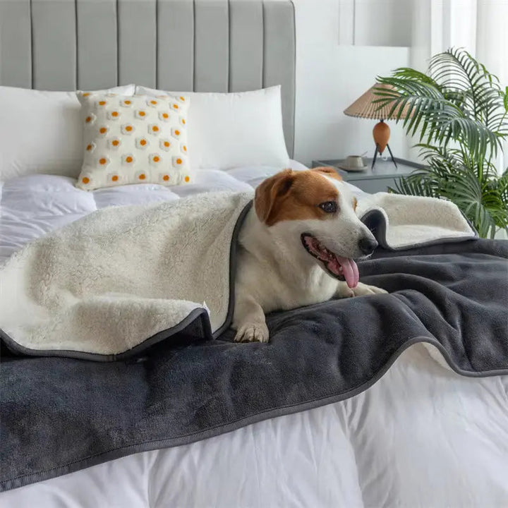 Blue Reversible Waterproof Pet Blanket folded flat lay