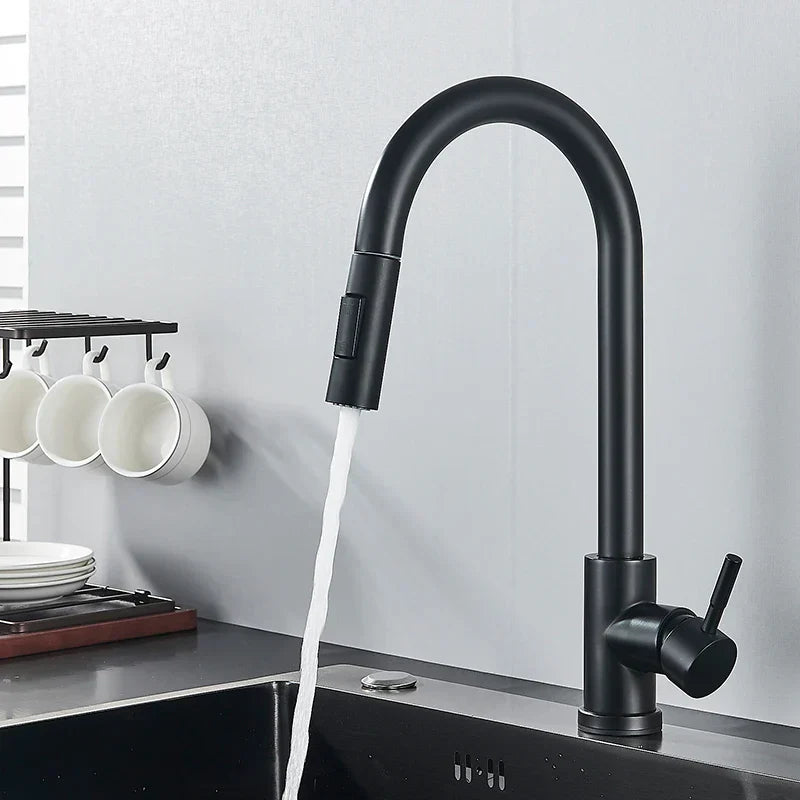 Matte Black Pull-Down Kitchen Faucet front view