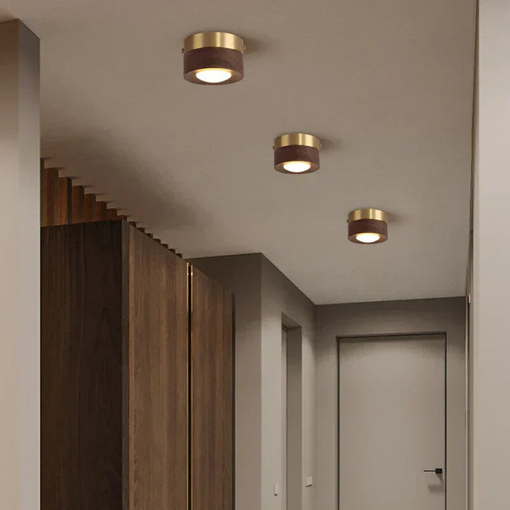 Modern Walnut Wood LED Ceiling Light Fixture for Elegant Home Decor